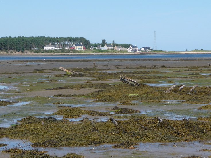 Remains of Embo fishing boats at Loch Fleet