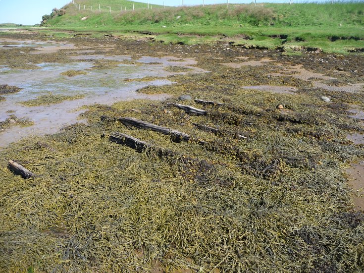 Remains of Embo fishing fleet at Loch Fleet