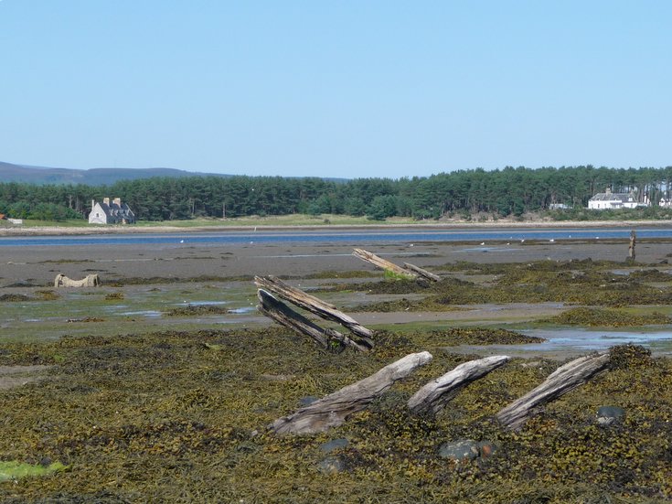 Remains of Embo fishing fleet at Loch Fleet