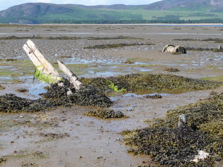 Remains of Embo fishing fleet at Loch Fleet