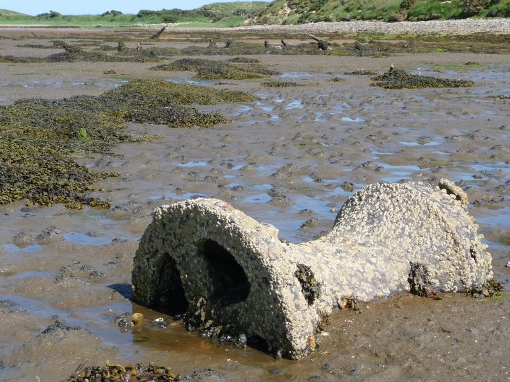 Remains of Embo fishing fleet at Loch Fleet