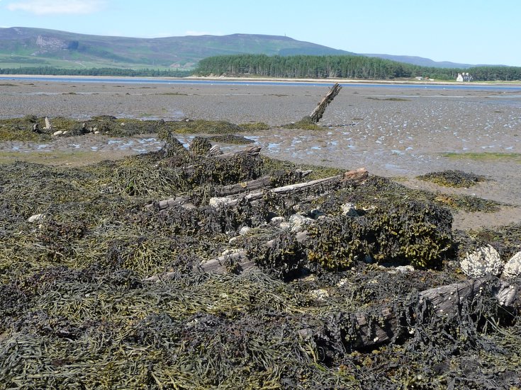 Remains of Embo fishing fleet at Loch Fleet