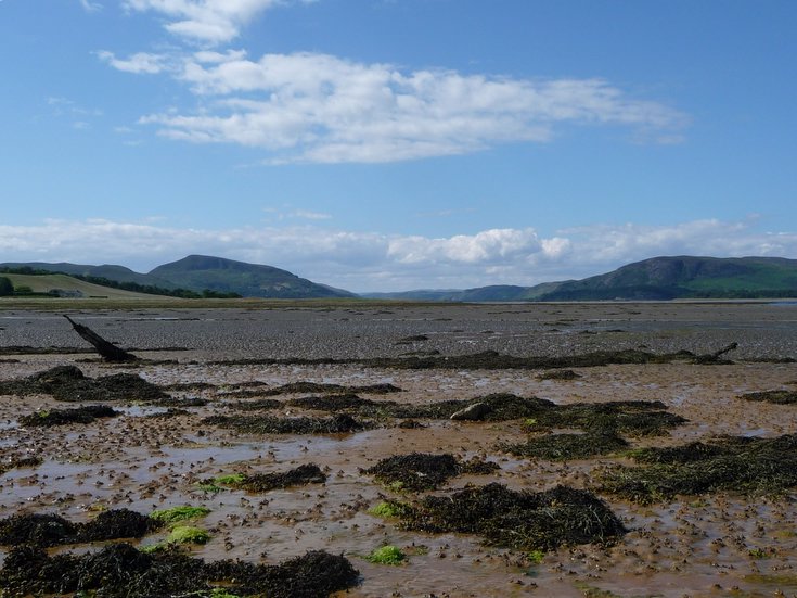 Remains of Embo fishing fleet at Loch Fleet