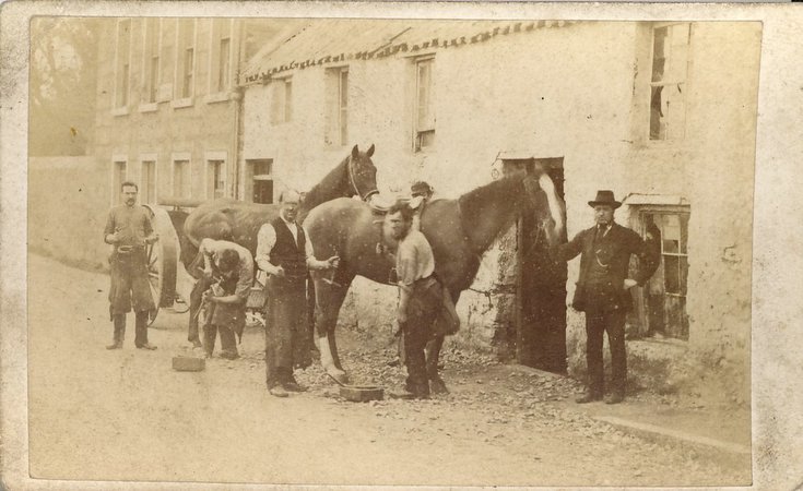 Farriers shoeing horses
