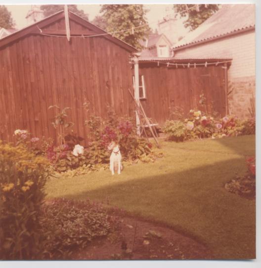 Garden at 12 Castle Street, Dornoch