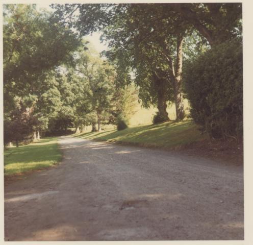 Drive at Ospisdale