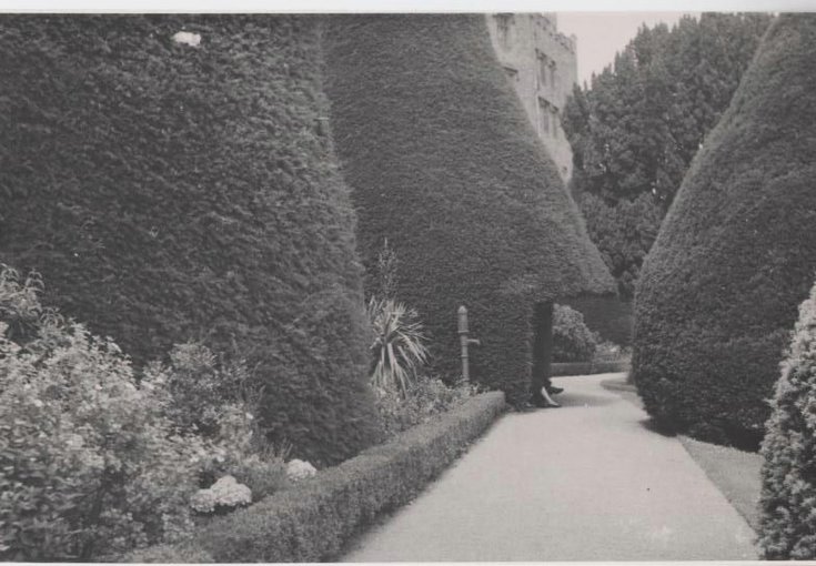 Kathleen Lyon photograph collection - Powis Castle garden