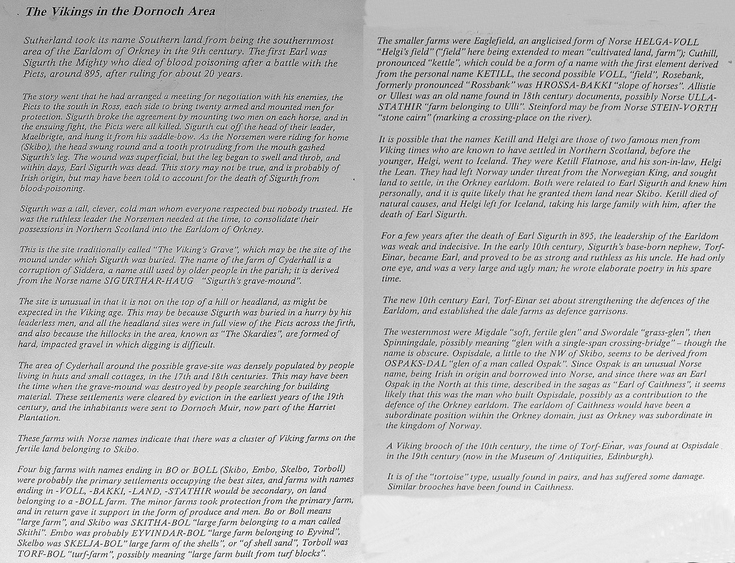 Information on Vikings