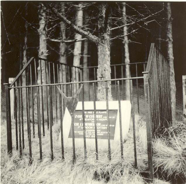 photograph of memorial tree planted by Argyll & Sutherland Highlanders