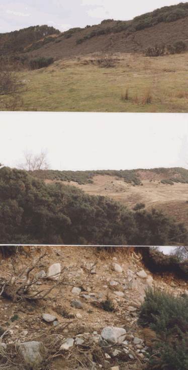 Evelix valley - set of colour photographs