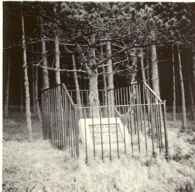 photograph of memorial tree planted by Argyll & Sutherland Highlanders