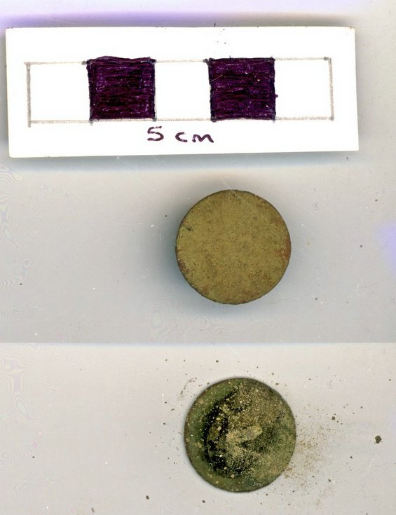 Objects discovered on Pitgrudy Farm - button