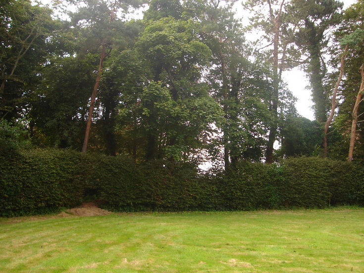 Burghfield House Hotel garden boundary trees