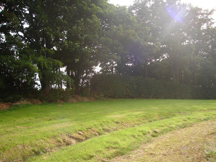 Burghfield House Hotel garden path and lawn area