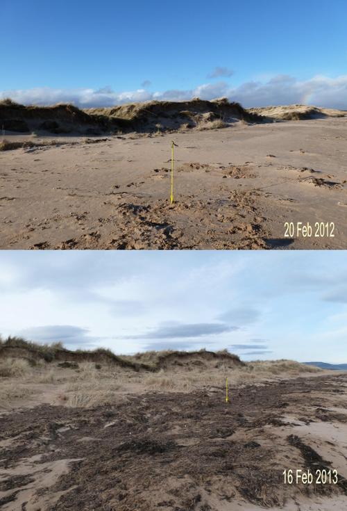 Overview of Dornoch links dune erosion Feb 2012 - 2013