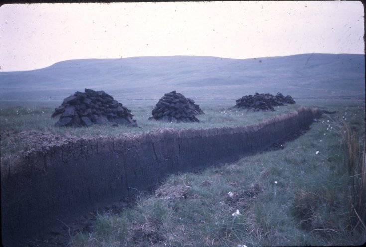 Peat cutting