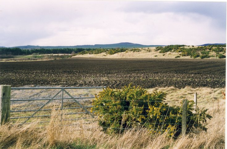 The Dornoch Esker north of the Camore Road