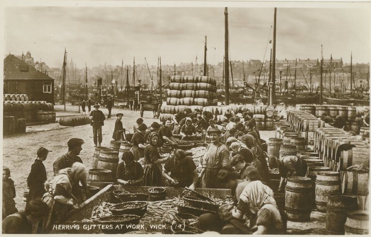 Fishing scenes around Scotland - 'Herring Gutters at work, Wick'
