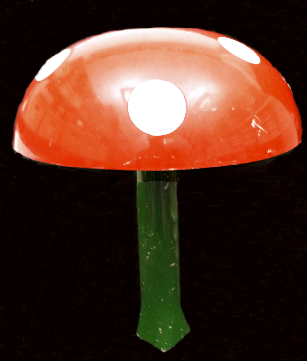Dornoch Brownies toadstool