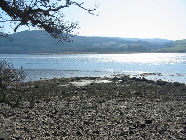 Possible Fish Trap at Creich - image 2