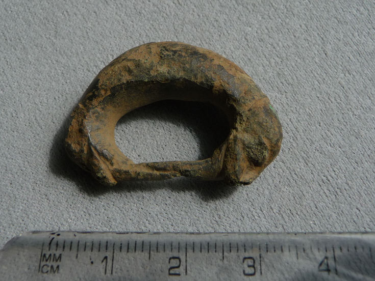 Treasure Trove Ospisdale - Zoomorphic D-shaped buckle