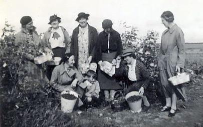 Fruit pickers