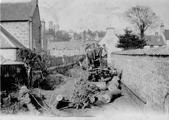 Tree felling in Deans Lane