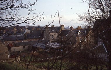 View of the rear gardens of High Street properties
