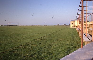 Football pitch Meadows Park from the stands