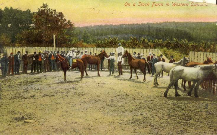 Postcard to George Gordon