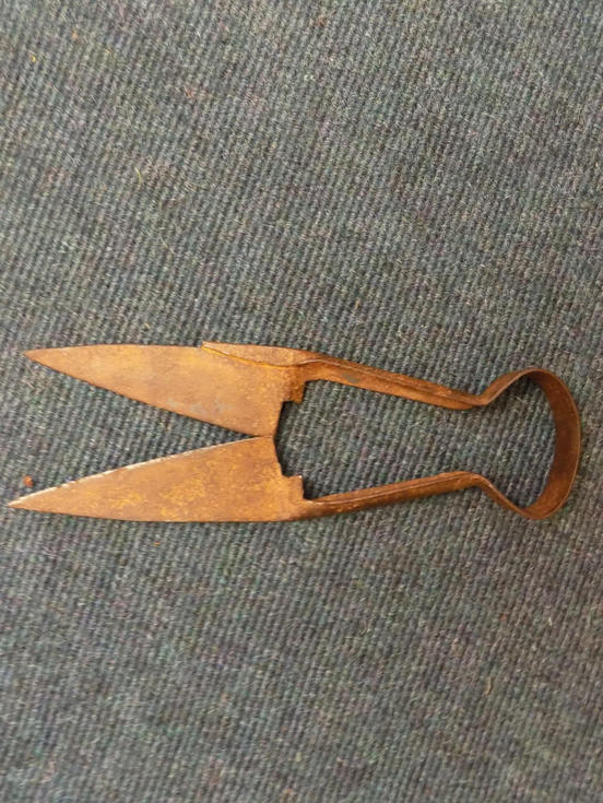 Sheep shears
