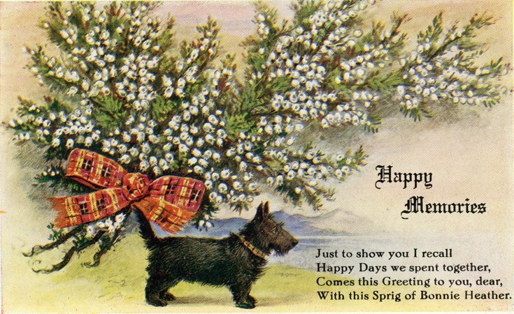 Happy Memories postcard