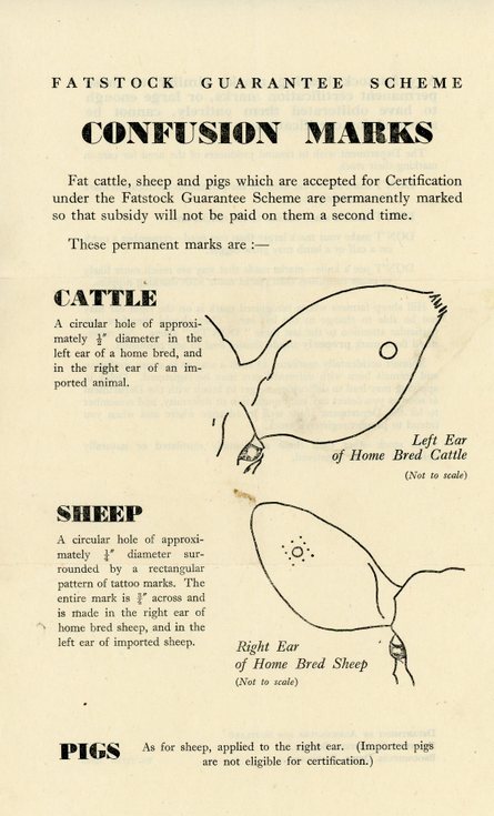 Fatstock Guarantee Scheme leaflet
