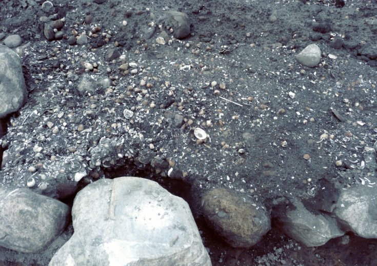 Shell storage uncovered at Achinchanter 2019