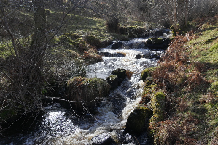Salmon ladder at Torbol