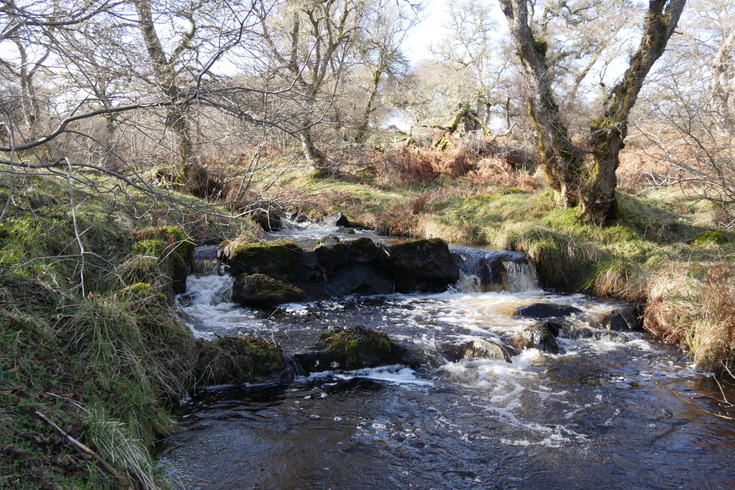 Salmon ladder at Torbol