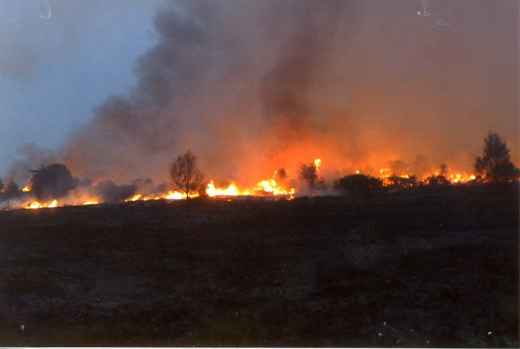Wild fire at Tain
