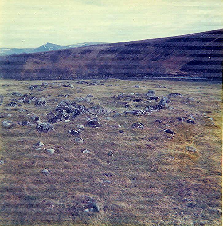 Wag/Wheelhouse at Sciberscross ~ West of Graveyard Enclosure