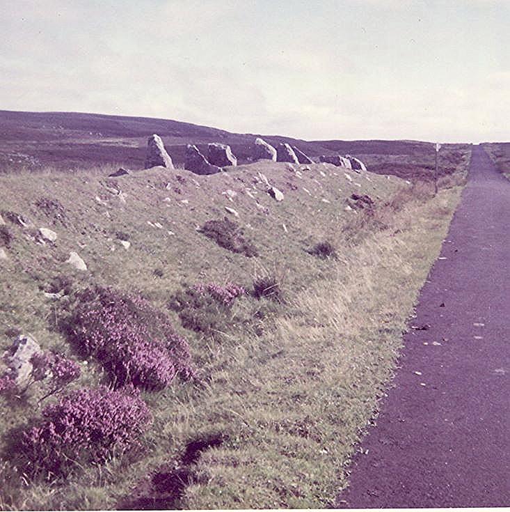 Stone Circle at Achavanich I ~ Bank