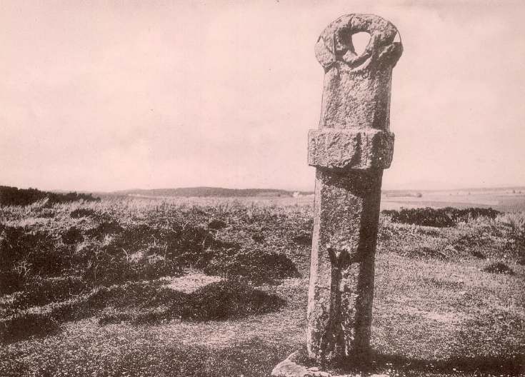 Views of Dornoch & Vicinity