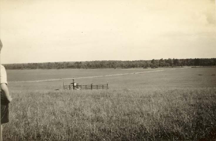 Sheep Trial in Sutherland