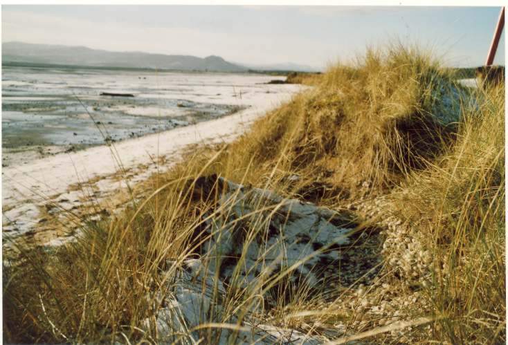 Shell Midden