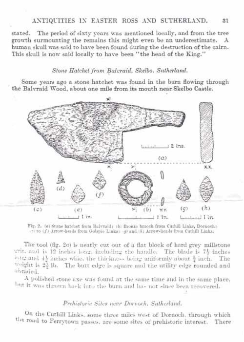 Stone hatchet from Balvraid