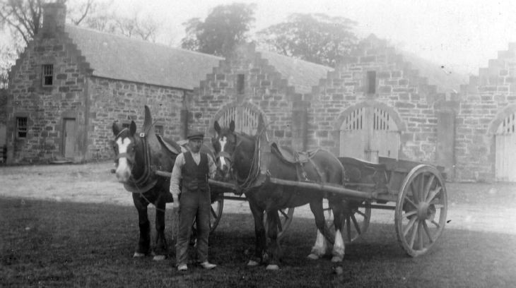 Carts at Skelbo Farm