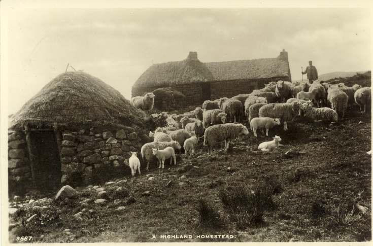 A Highland homestead
