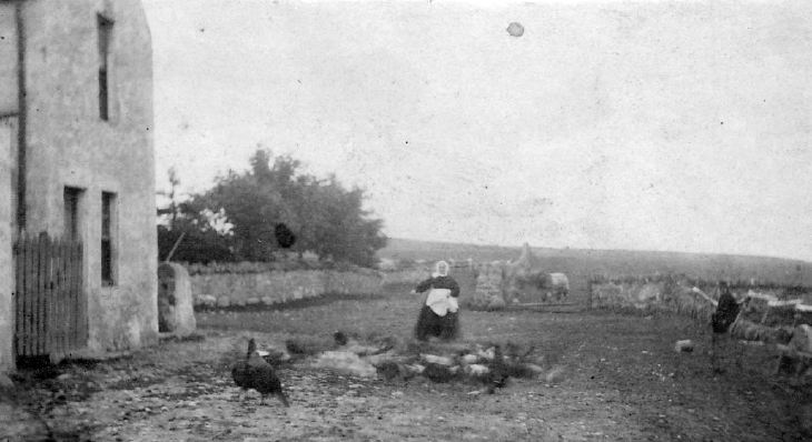 Mrs William Sutherland at Pitgrudy