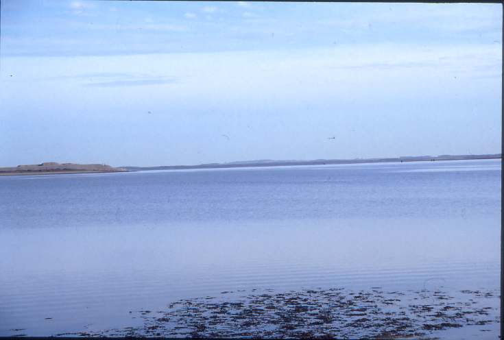 Dornoch Firth bridge under construction