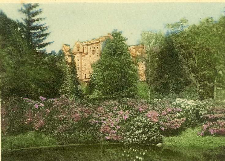 Rhododendrons at Skibo photograph by Louise Carnegie