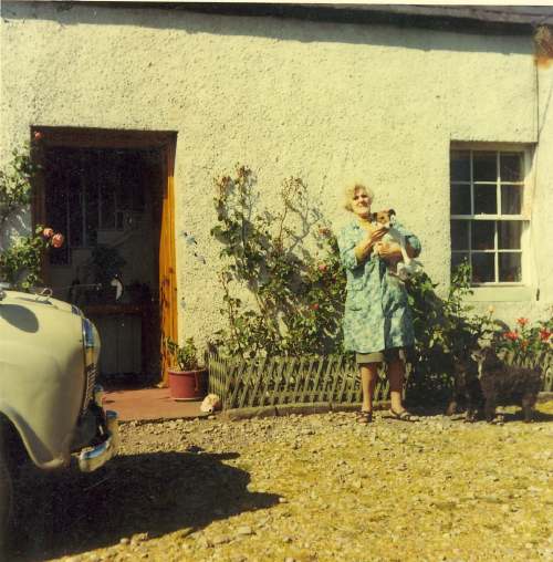 Lady and dogs