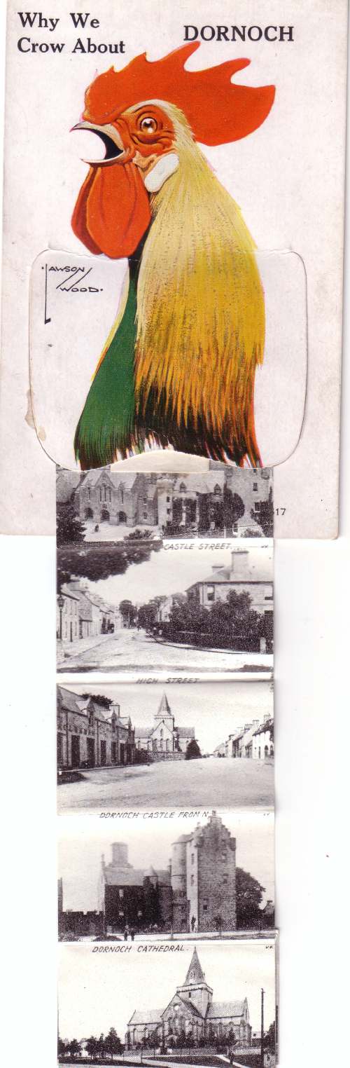 Novelty postcard